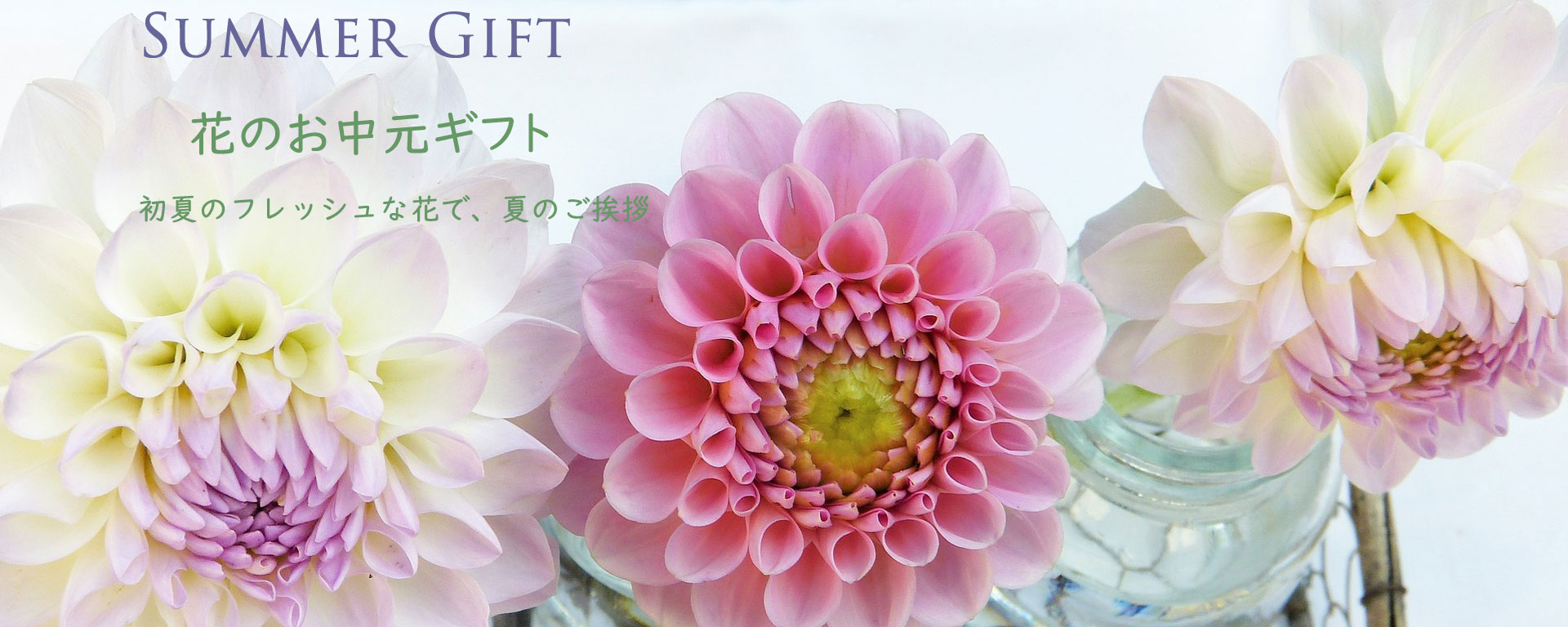 花かのん / 公式ホームページ